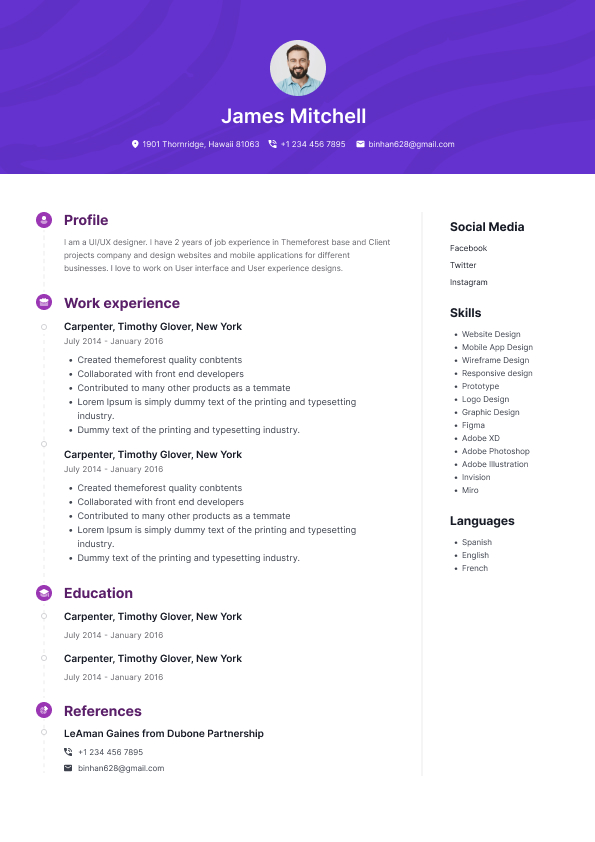 Resume Template Aspire